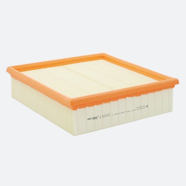 Фільтр повітряний Molder Filter LF 110 (WA6168, LX220, С22117) storm_group__LF110 фото