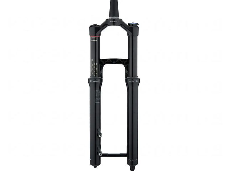 Вилка RockShox Domain RC DebonAir 29" 150мм E-MTB шток 1-1/8"&ndash;1.5" вісь Boost 15x110мм B1 VST-00.4020.707.007 фото