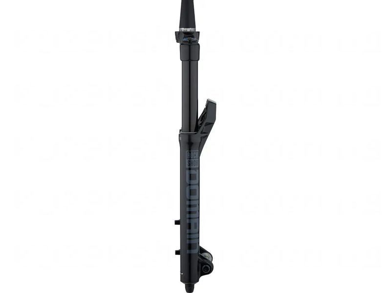 Вилка RockShox Domain RC DebonAir 29" 160мм E-MTB шток 1-1/8"&ndash;1.5" вісь Boost 15x110мм B1 VST-00.4020.707.006 фото